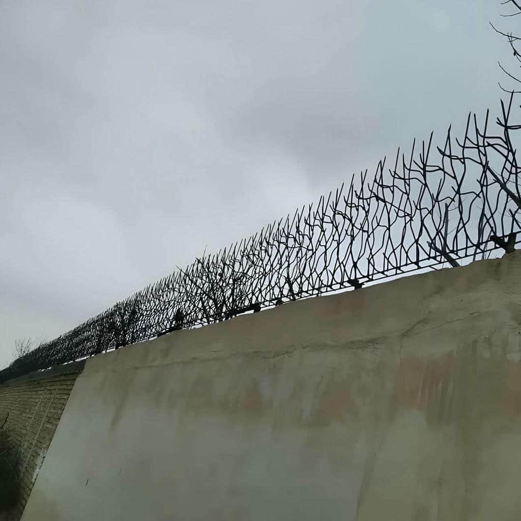 خدمات نصب حفاظ دیوار مدرن خطی با اجرای تراز