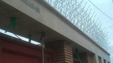 9 طرح حفاظ بوته ای دیوار پرتراکم