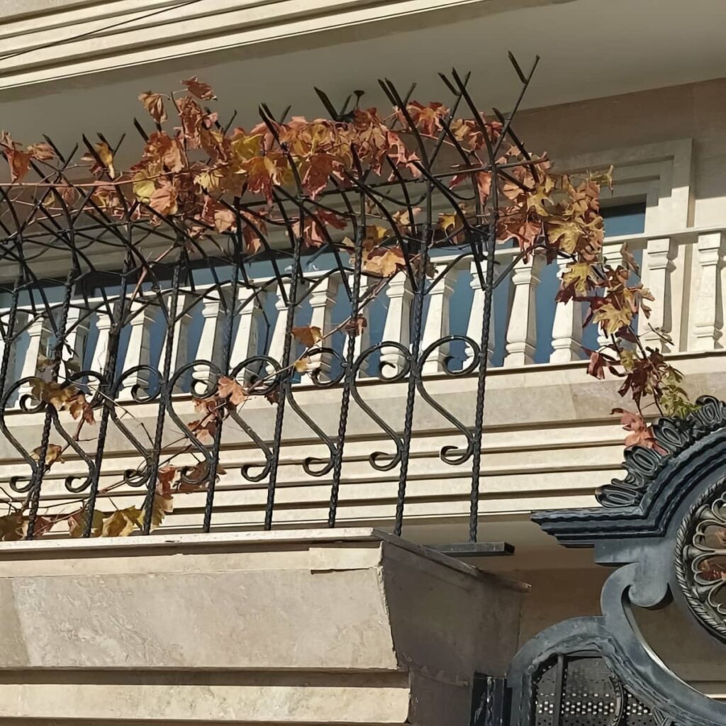 قیمت نمونه های زیبا حفاظ شاخ گوزنی