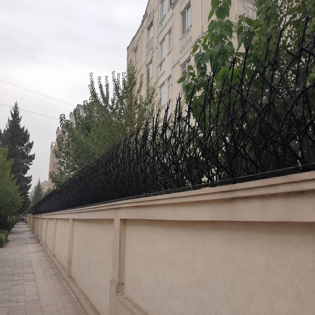 نکات کلیدی درباره شاخ گوزنی خاردار