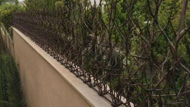 نرده روی دیوار نمای کلاسیک فرفورژه