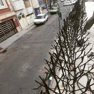 حفاظ بوته ای با پوشش رنگ شده